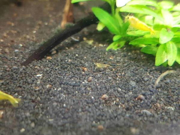 2019-09-11 15.59.02.jpg