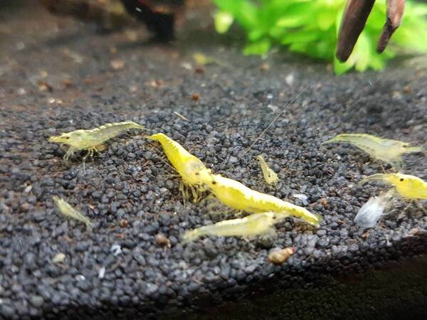 2019-09-18 21.46.57.jpg