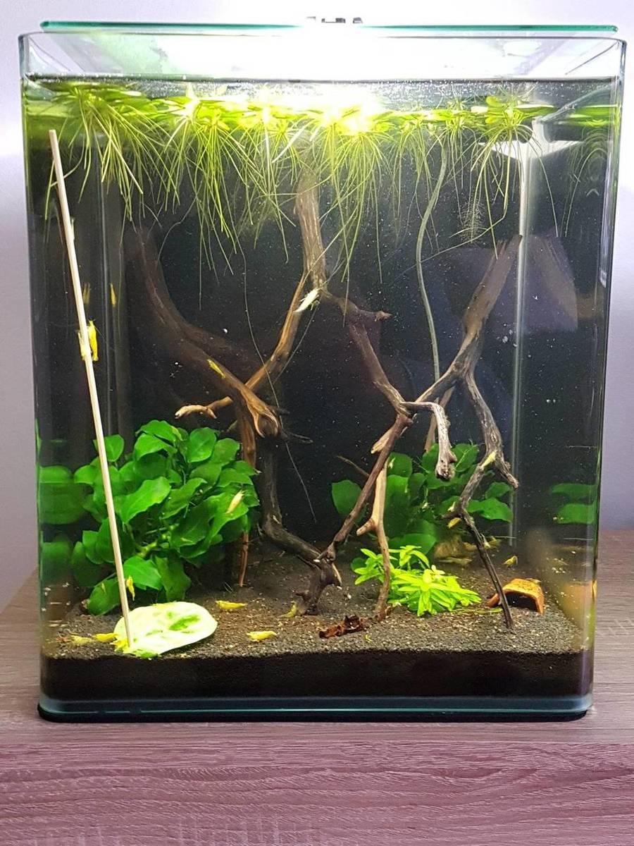 2019-10-22 13.22.23.jpg