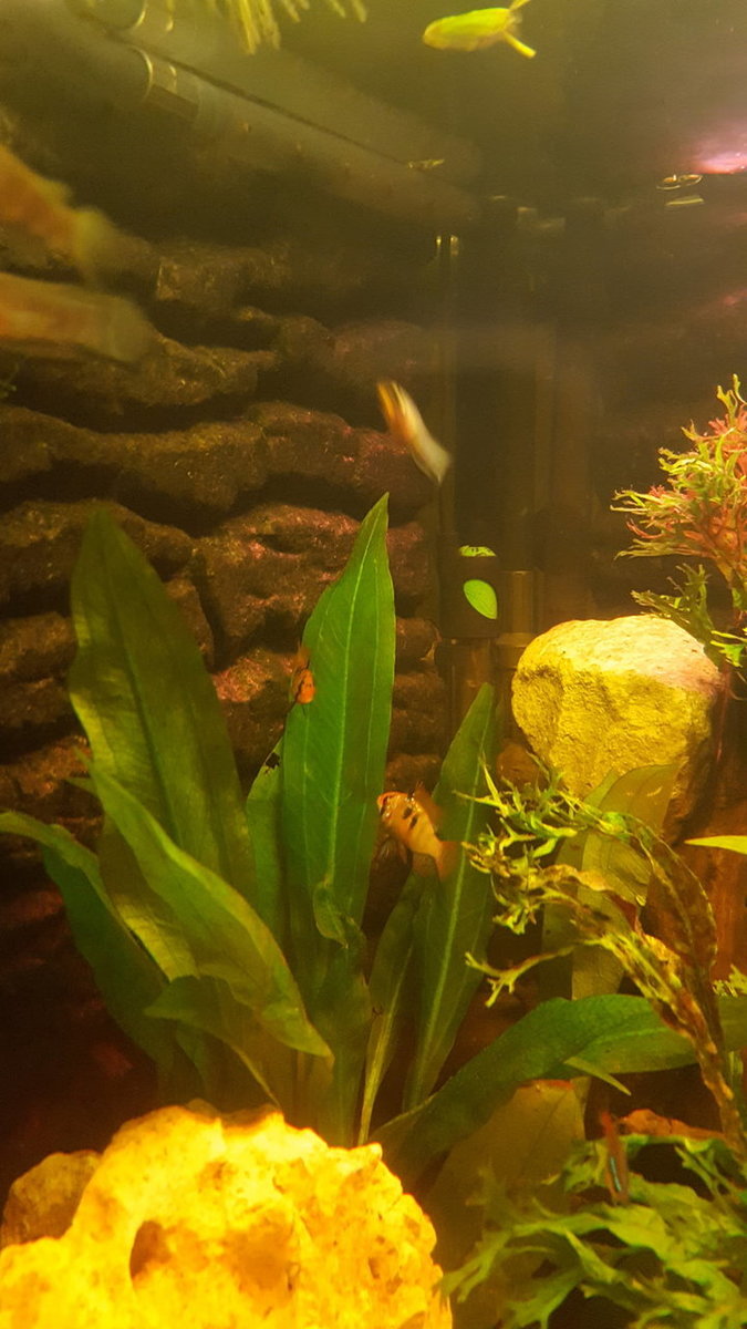20190109_215432.jpg