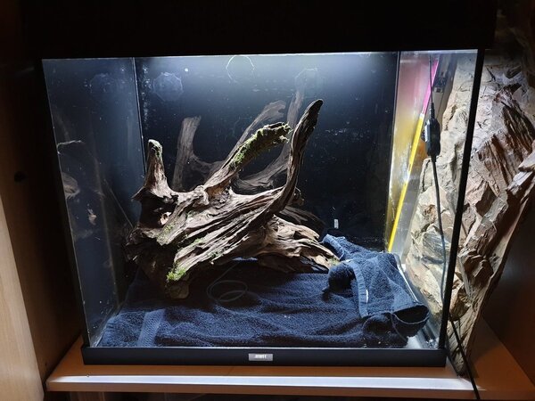 20190331_011024 (1).jpg