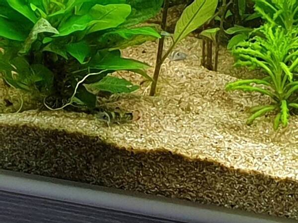 20190823_140009.jpg
