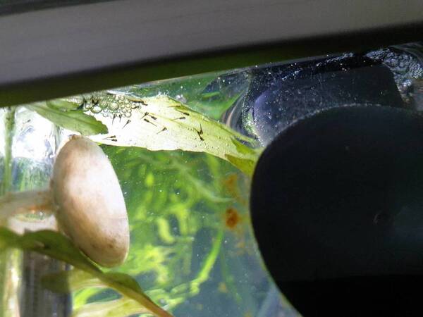 20190825_142757.jpg
