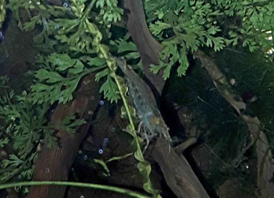 20191105_191901.jpg