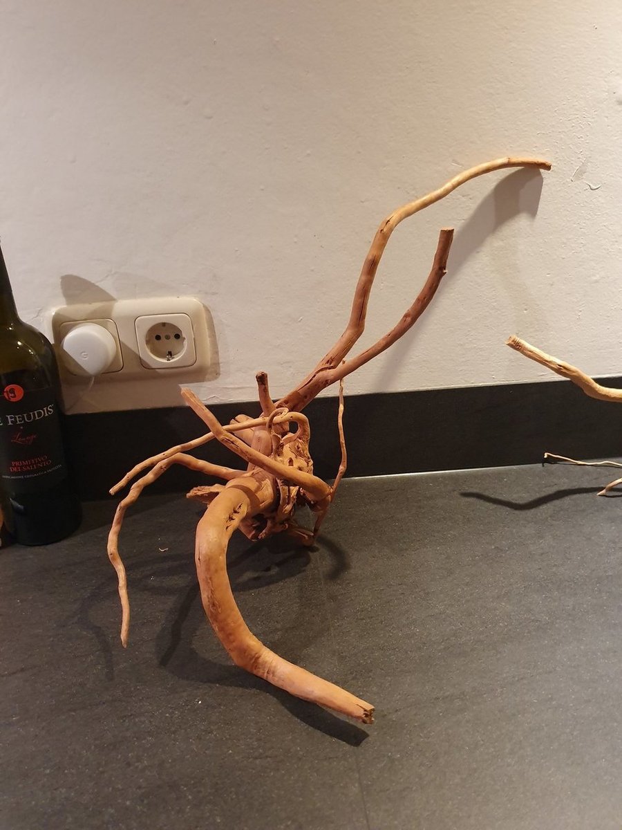20191230_172324.jpg