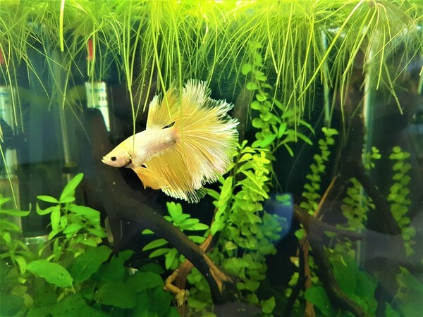 2020-05-23 15.32.34-1.jpg