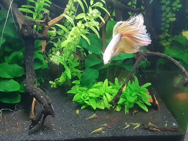 2020-07-04 21.00.40.jpg