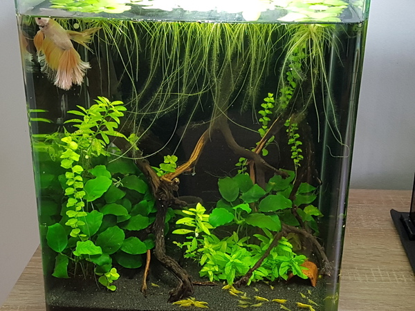 2020-09-26 16.23.37.jpg