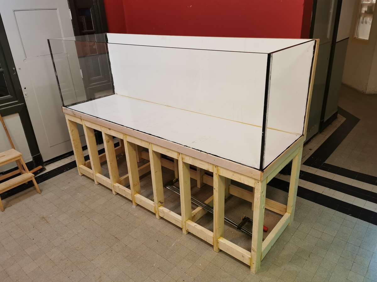 2020-12-14 17.49.33.jpg