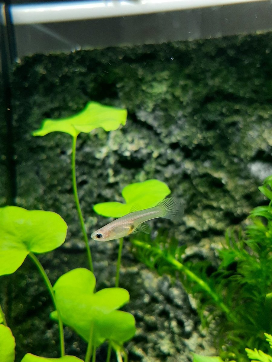20201101_123806.jpg