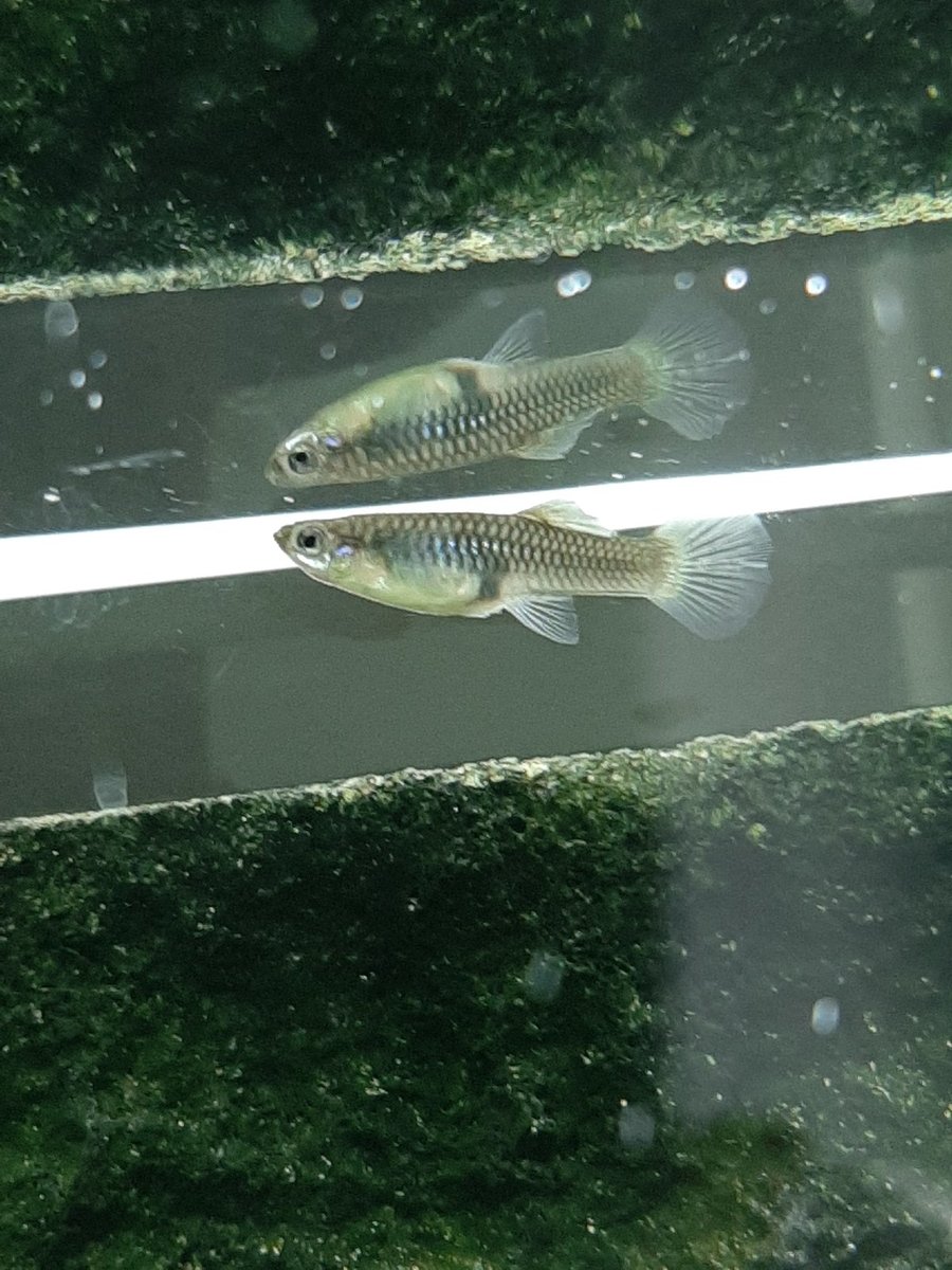 20201101_124524.jpg