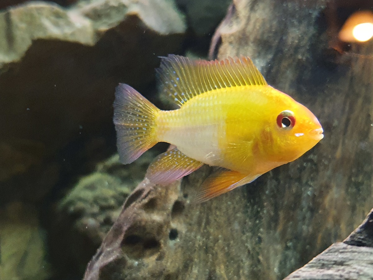 20201102_202044.jpg