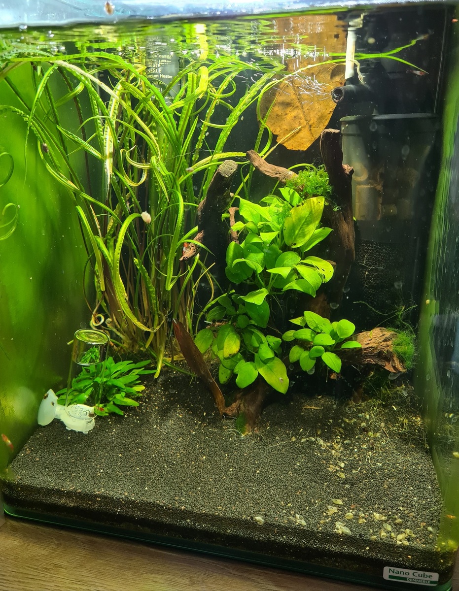 20201209_114730.jpg