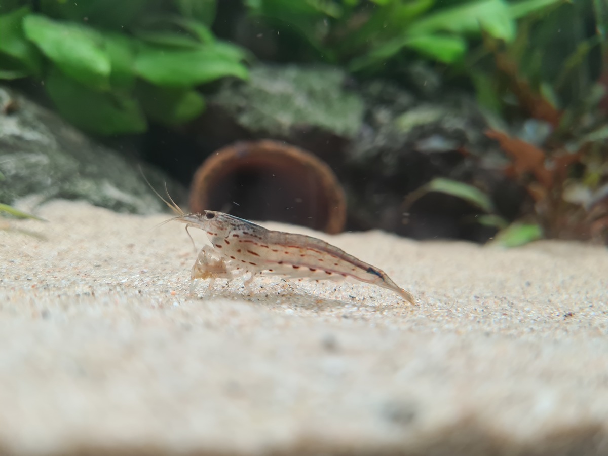 20201209_163430.jpg