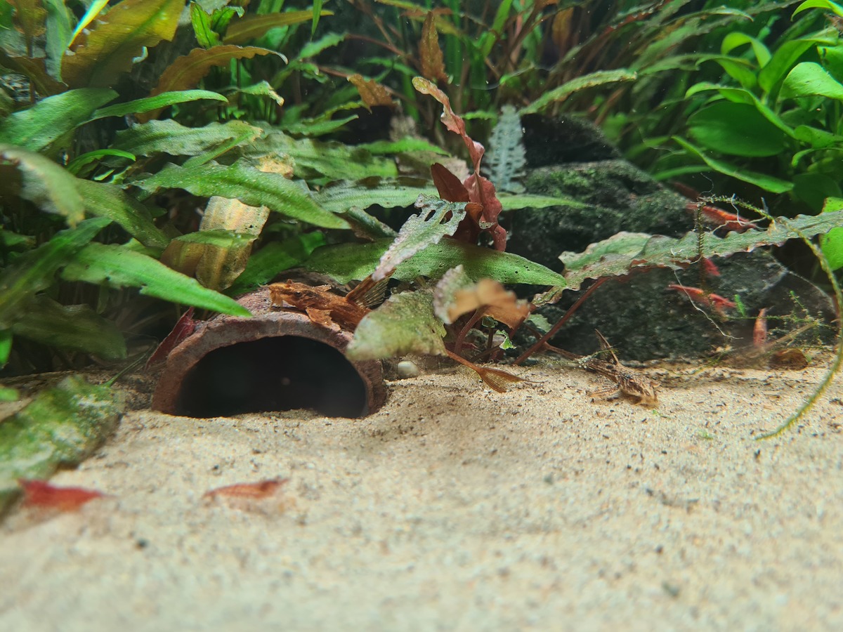 20201209_163507.jpg