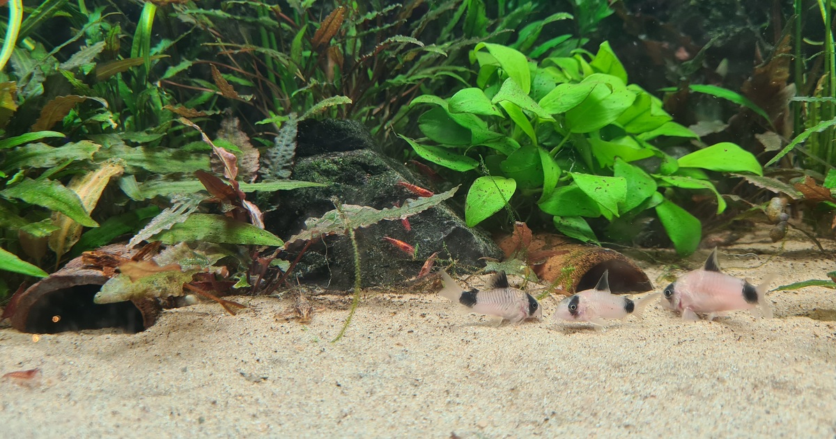 20201209_163530.jpg