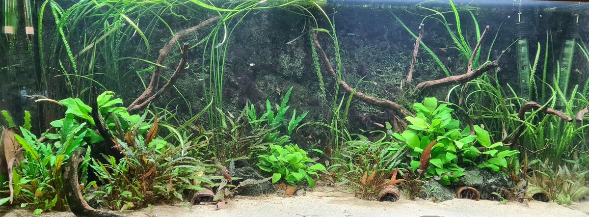 20201209_202400.jpg