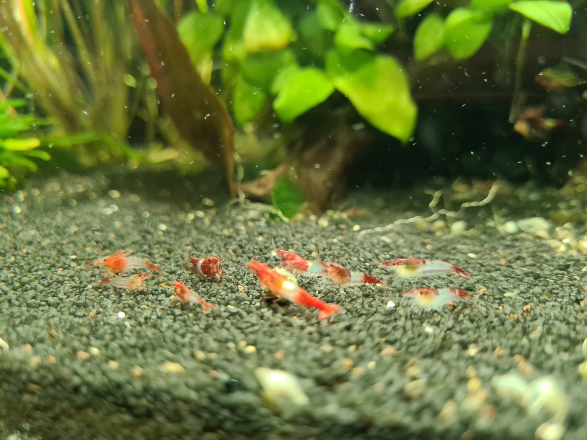 20201210_192941.jpg