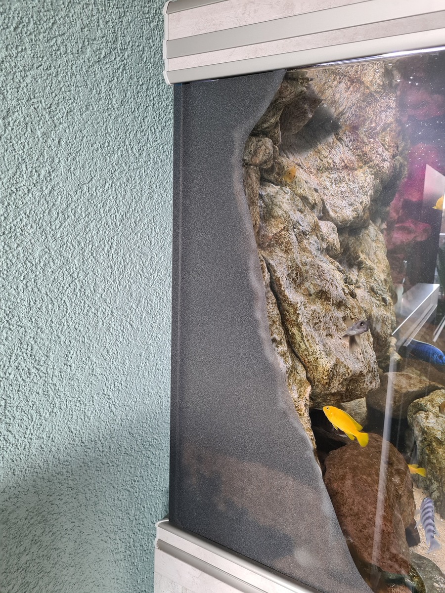 20201213_113645.jpg
