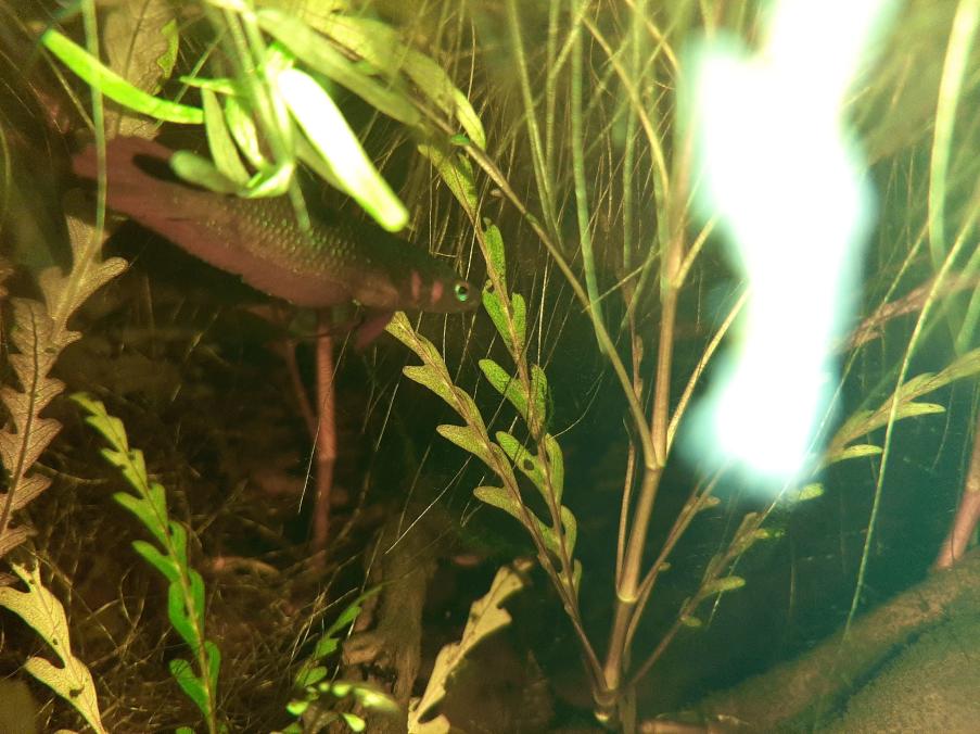 20201224_180843.jpg