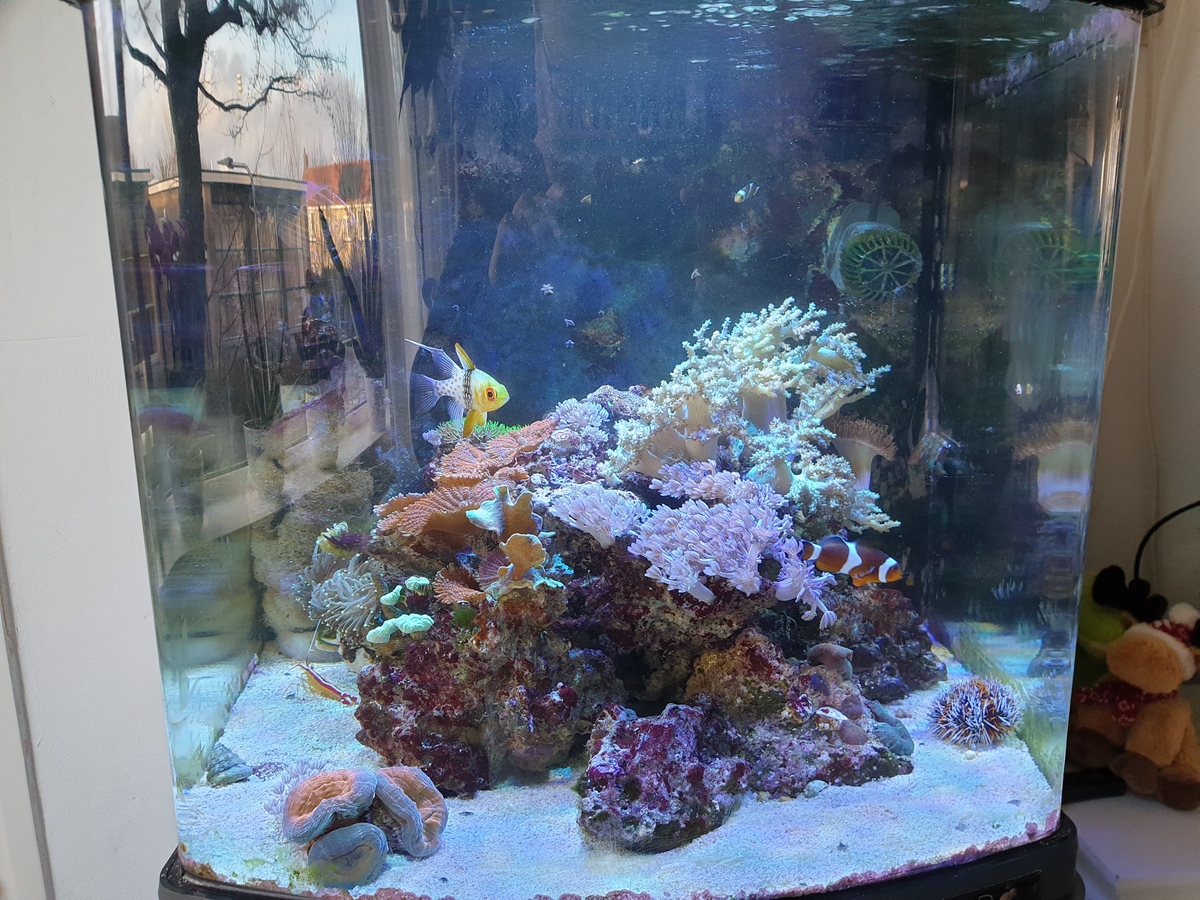 20201230_102845.jpg