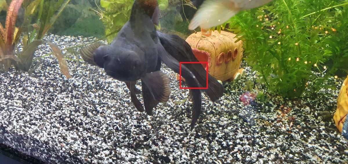 20201231_151513.jpg