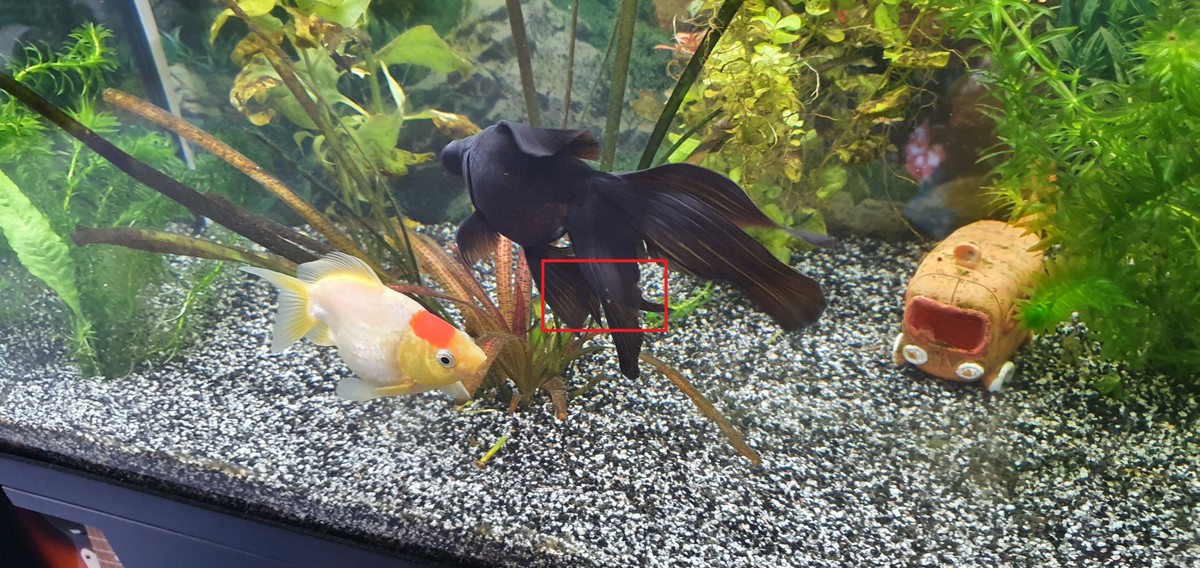 20201231_151539.jpg
