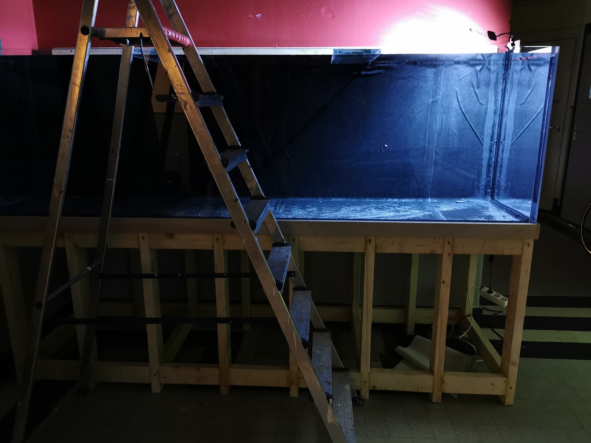 2021-01-12 14.26.38.jpg