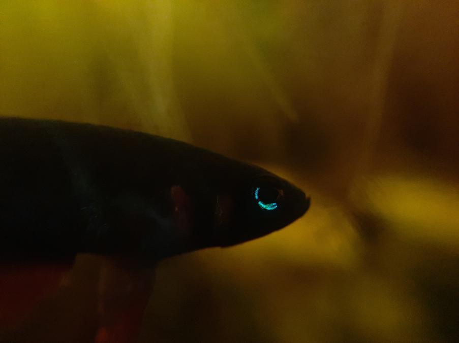 20210101_145557.jpg