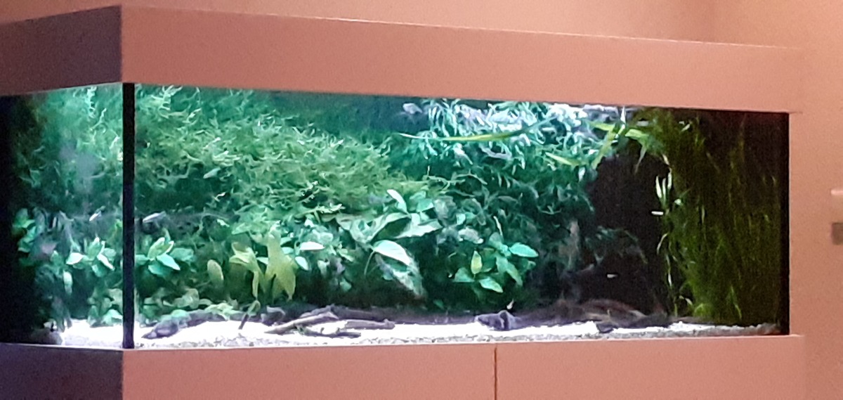 20210912_211057.jpg