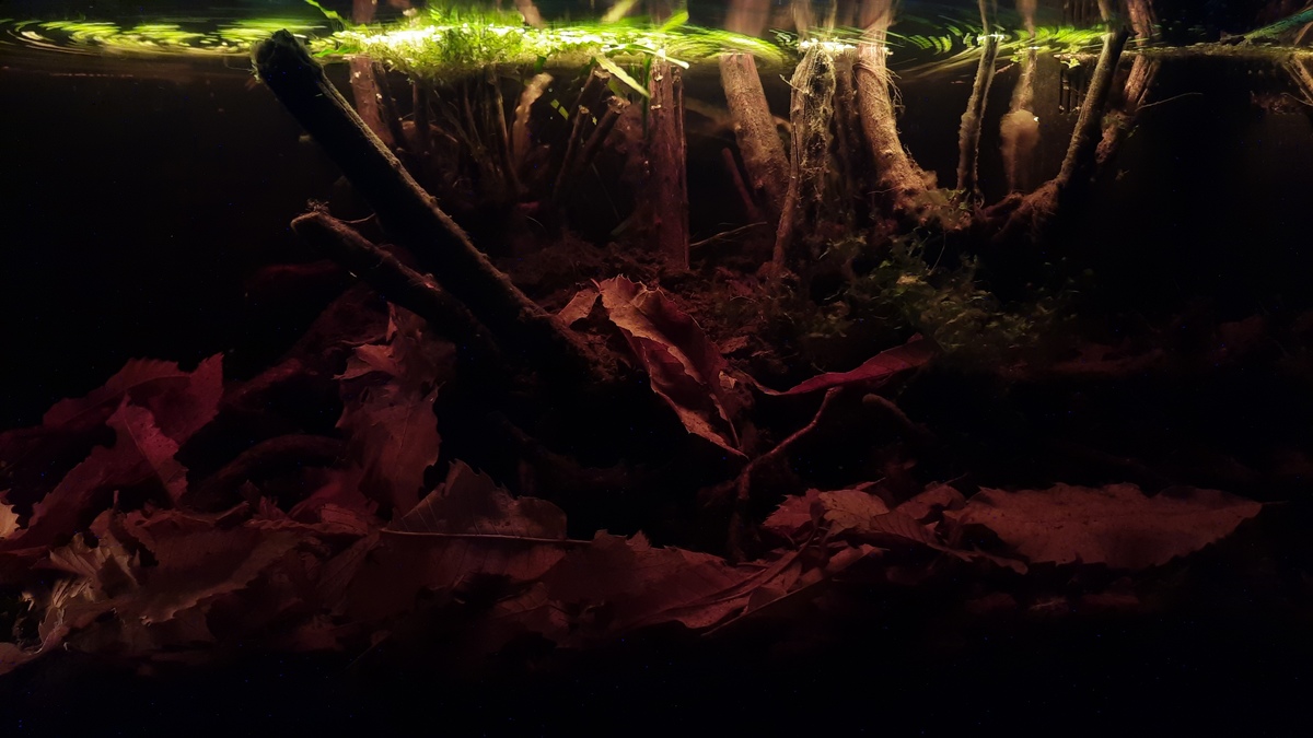 20211007_202411.jpg