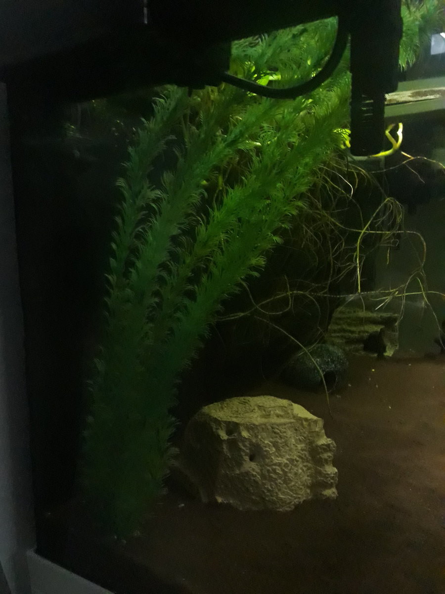 20220123_130240.jpg