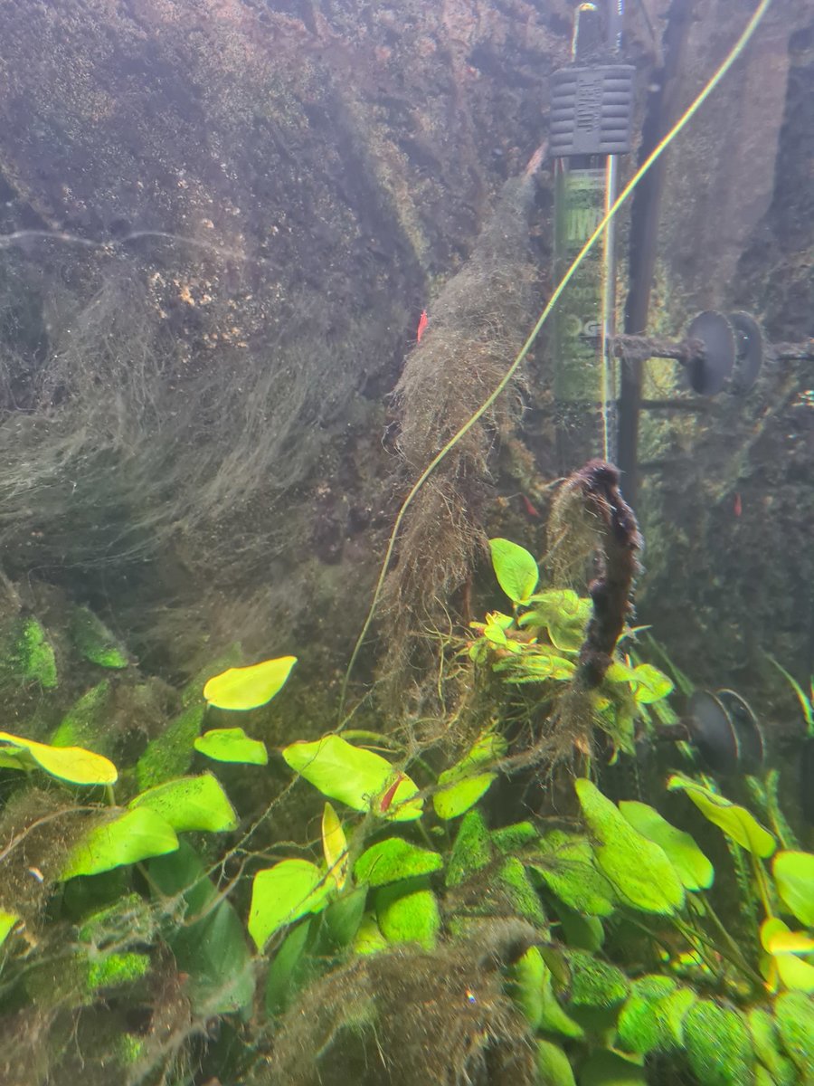 20220123_155826.jpg