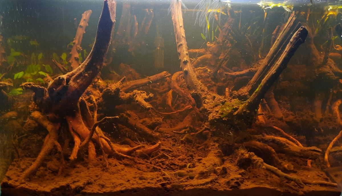 20220418_224553.jpg