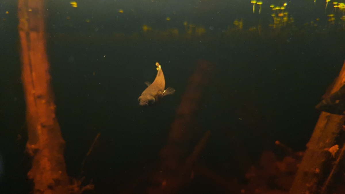 20220421_231103.jpg