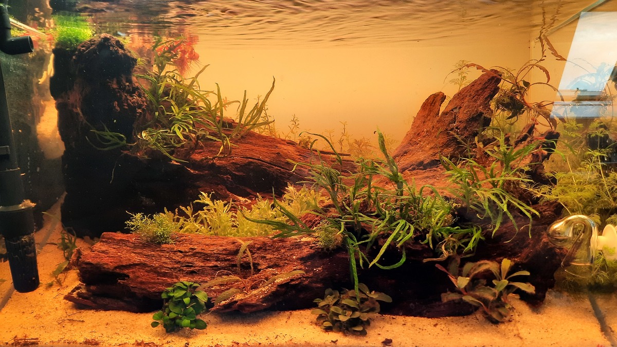 20220513_164556.jpg