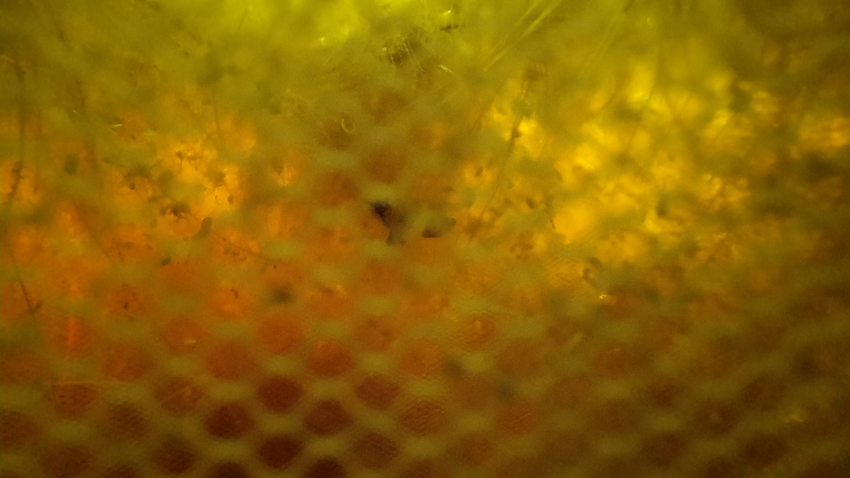 20220903_223535.jpg