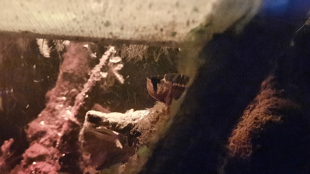 20220905_154315.jpg