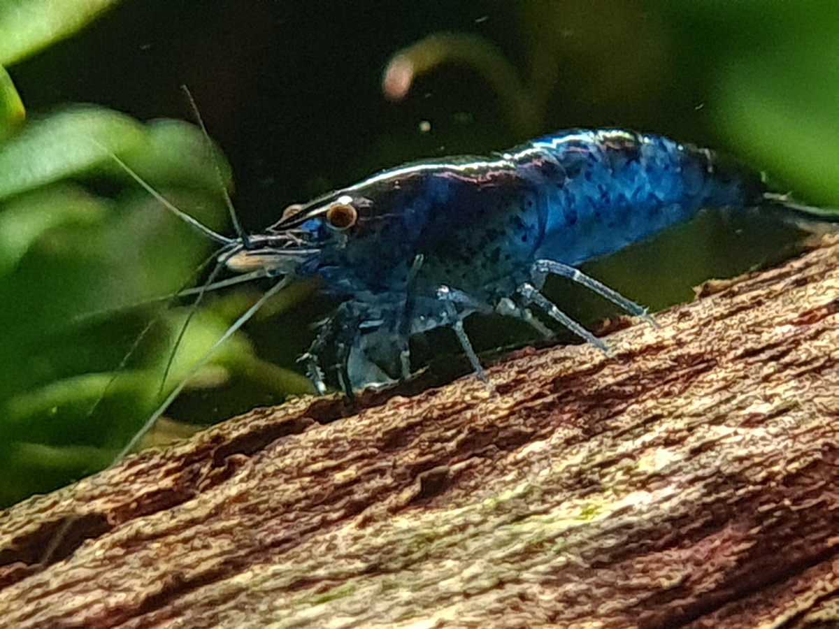 20221215_151303.jpg