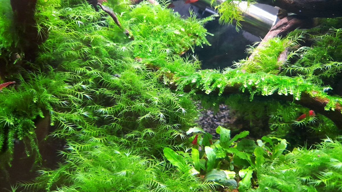 20230430_094018.jpg