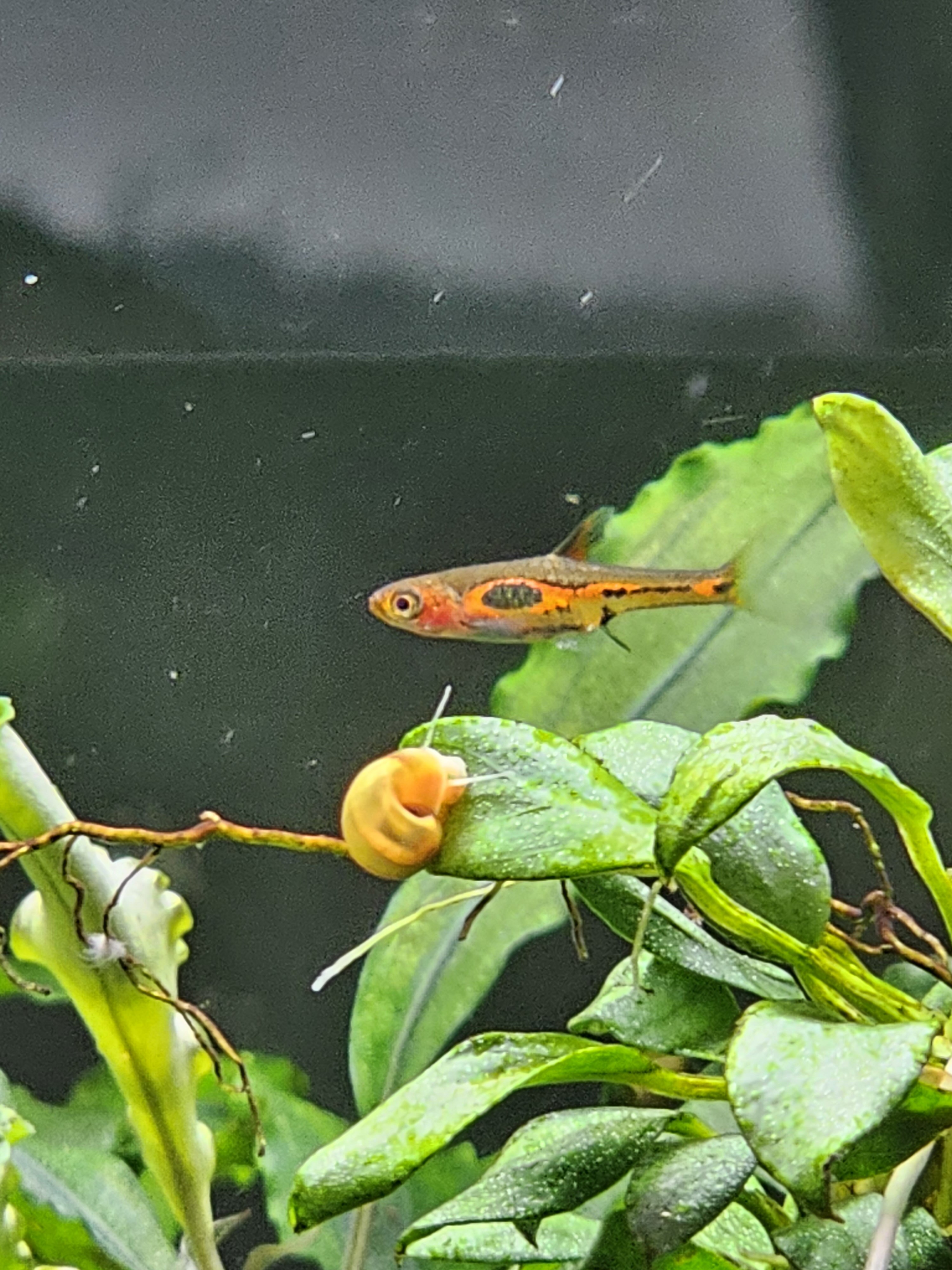 20230815_153647.jpg