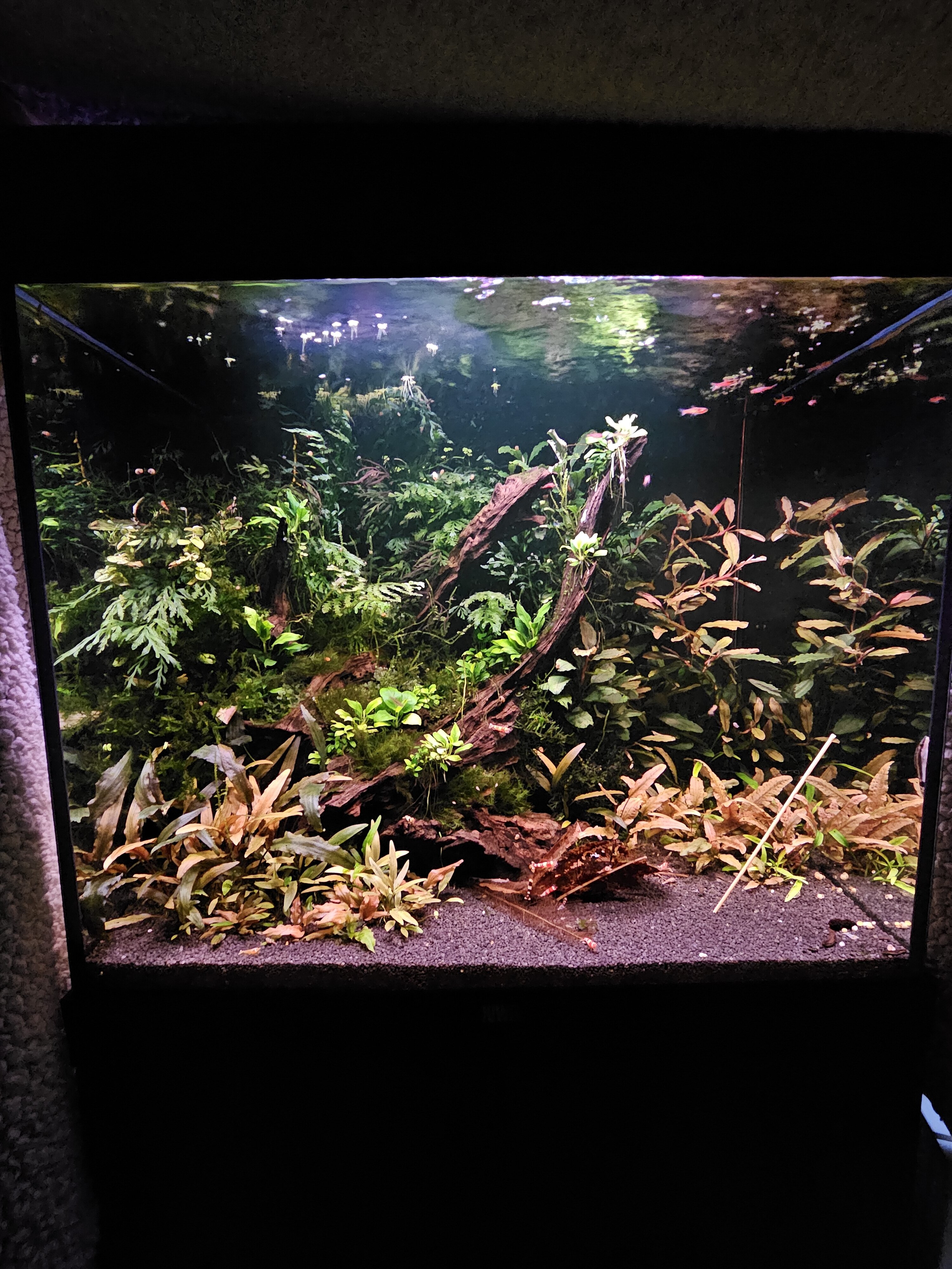 20230831_201246.jpg