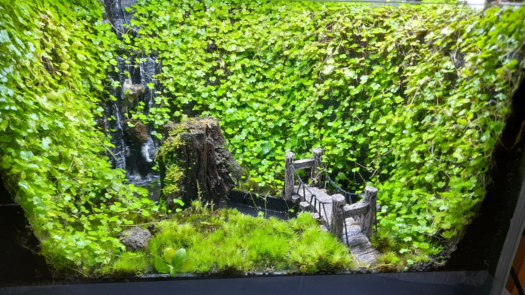 20250219_160316.jpg
