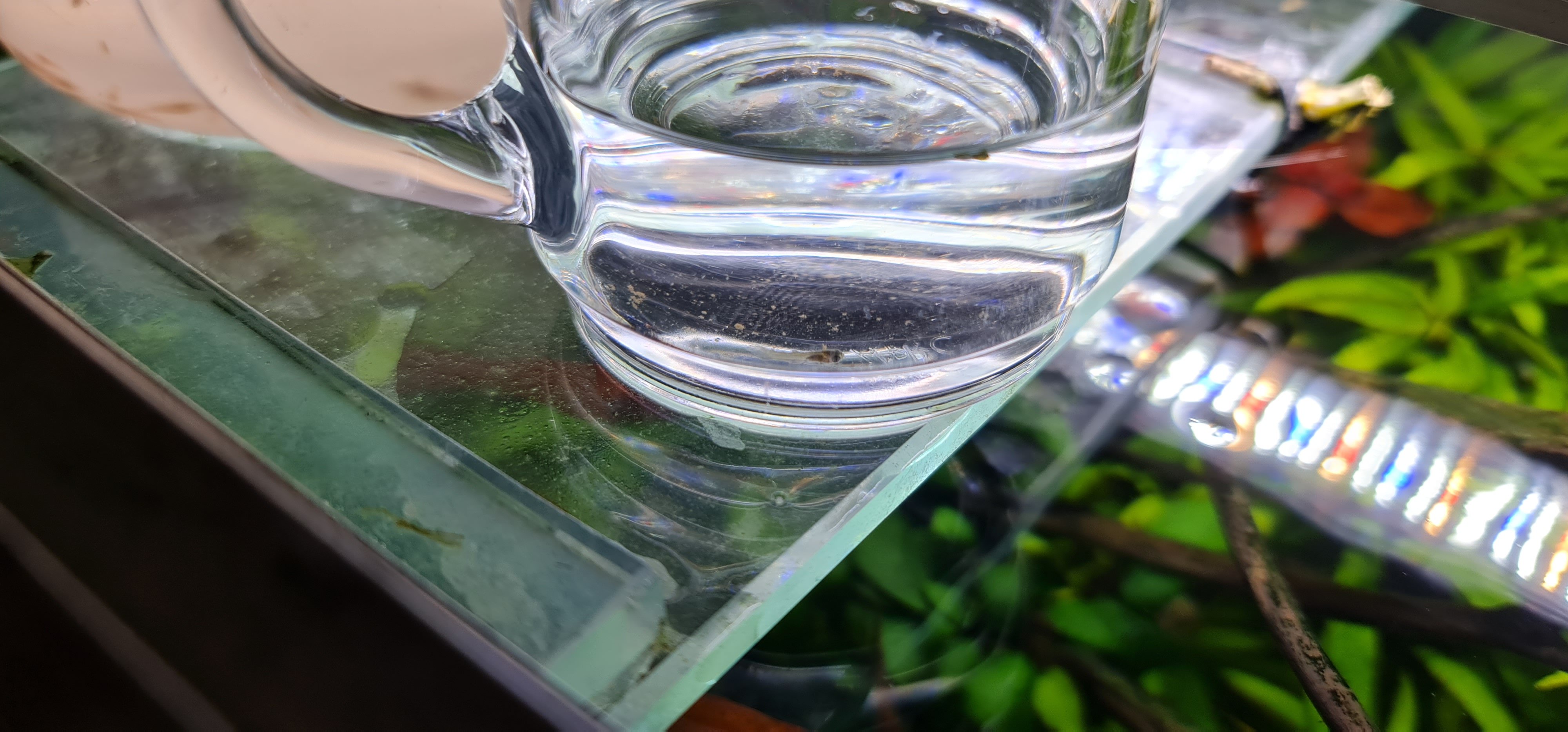 20250309_101543.jpg