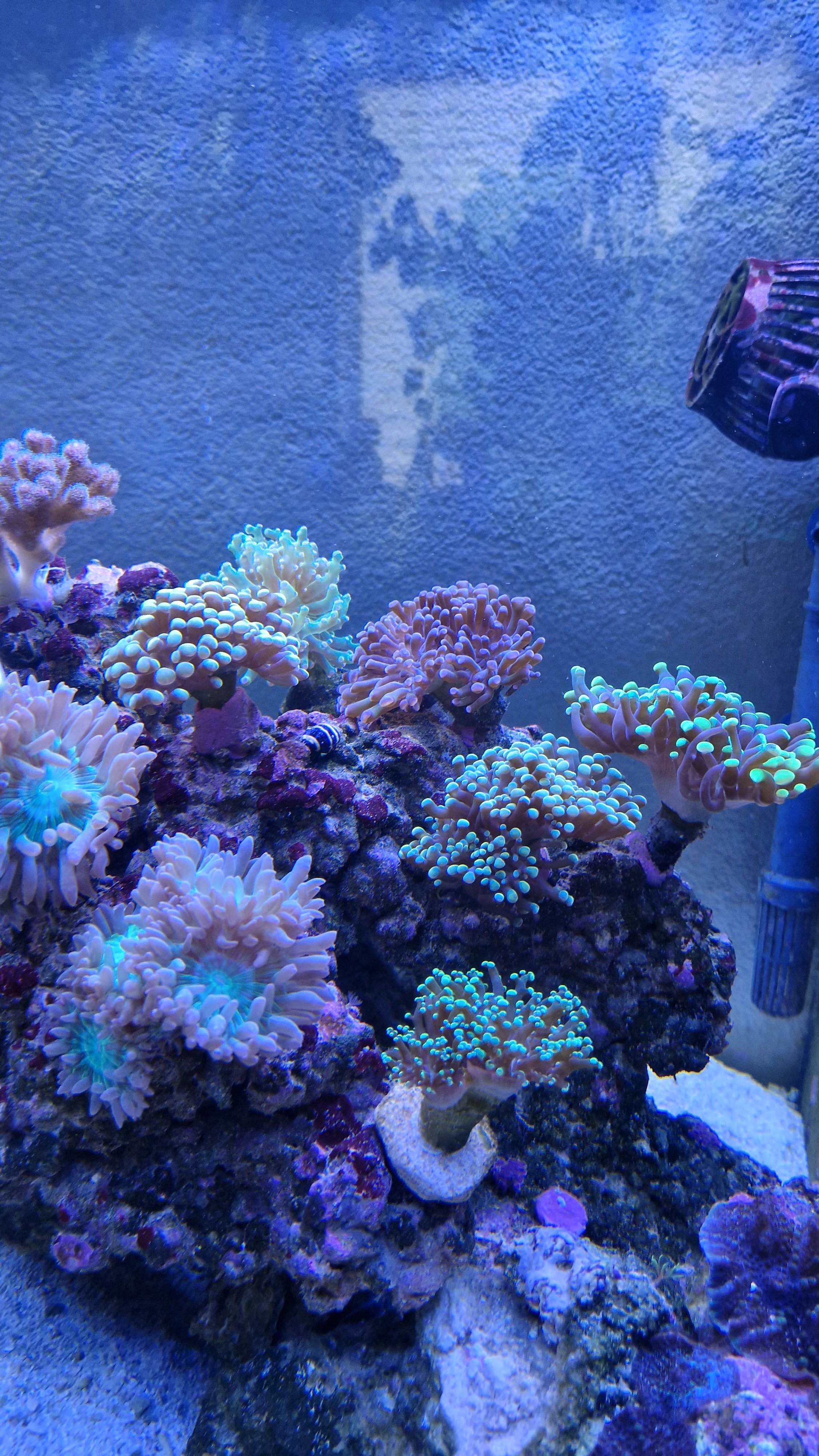 20250326_183128.jpg