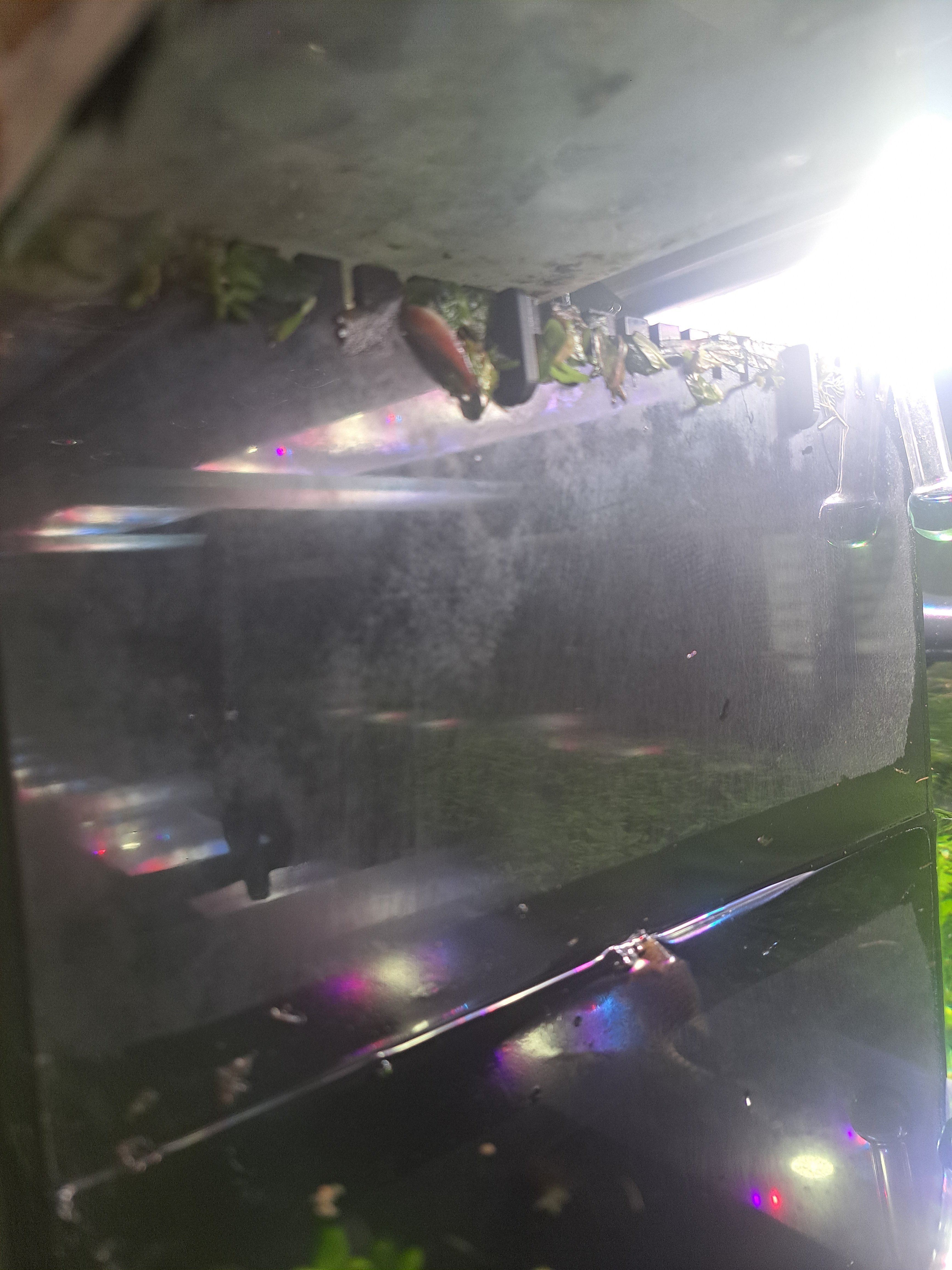 20251116_120200.jpg