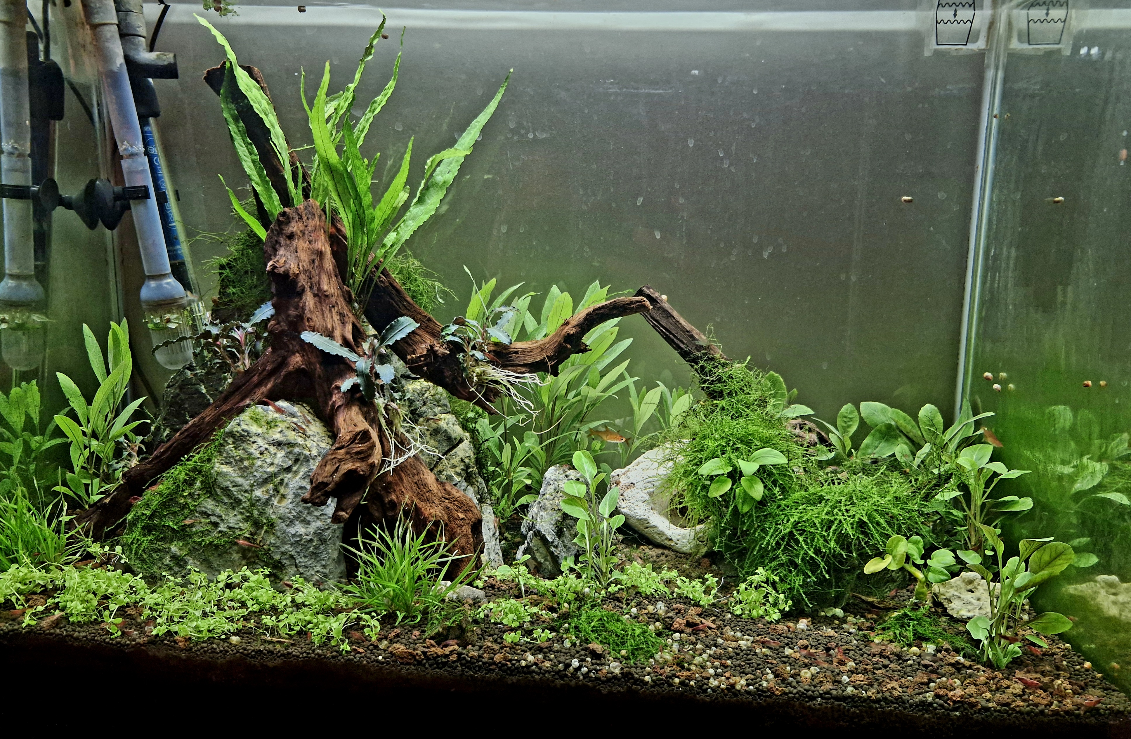 20260201_230742 (1).jpg