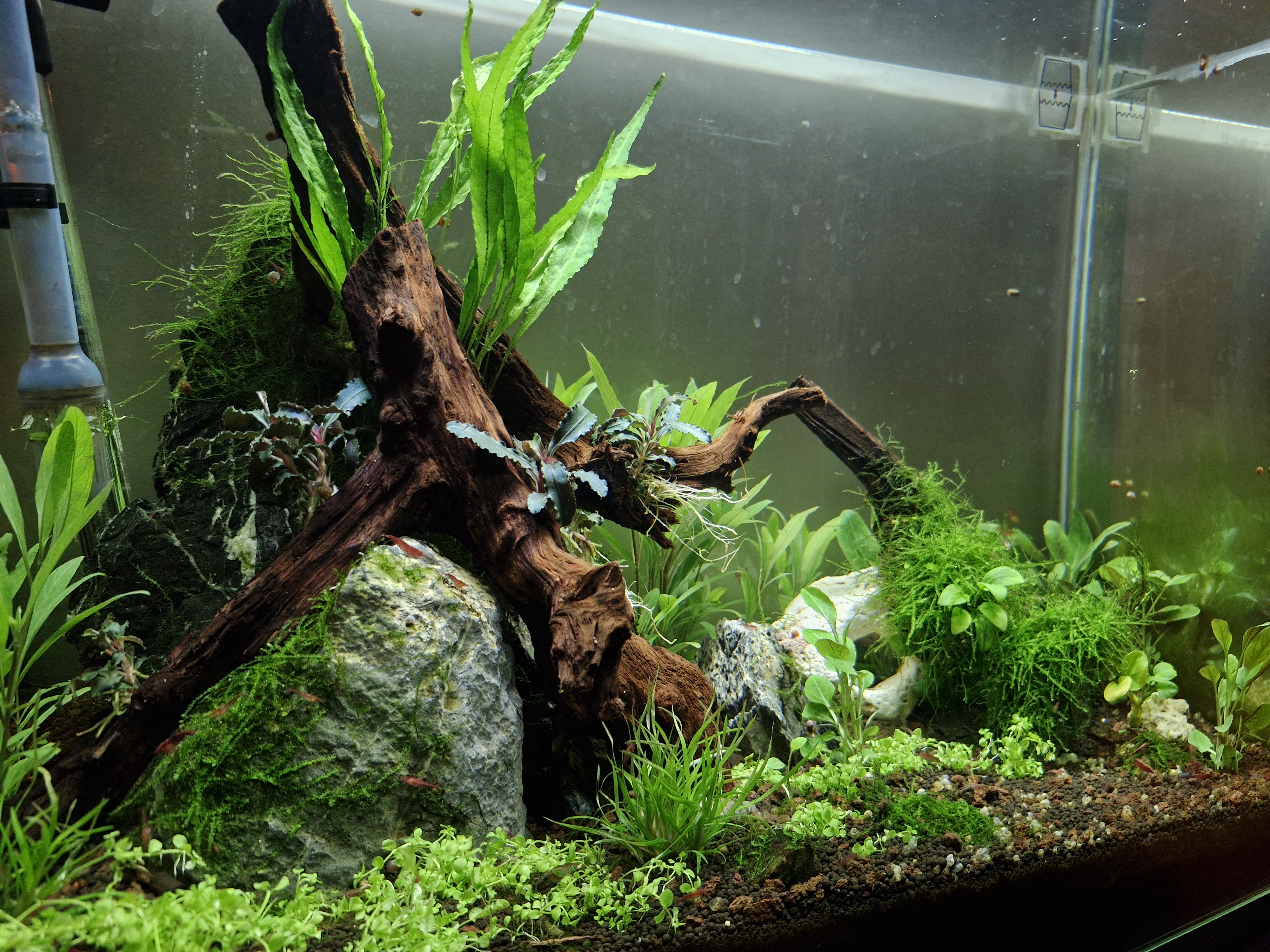 20260201_230808 (1).jpg