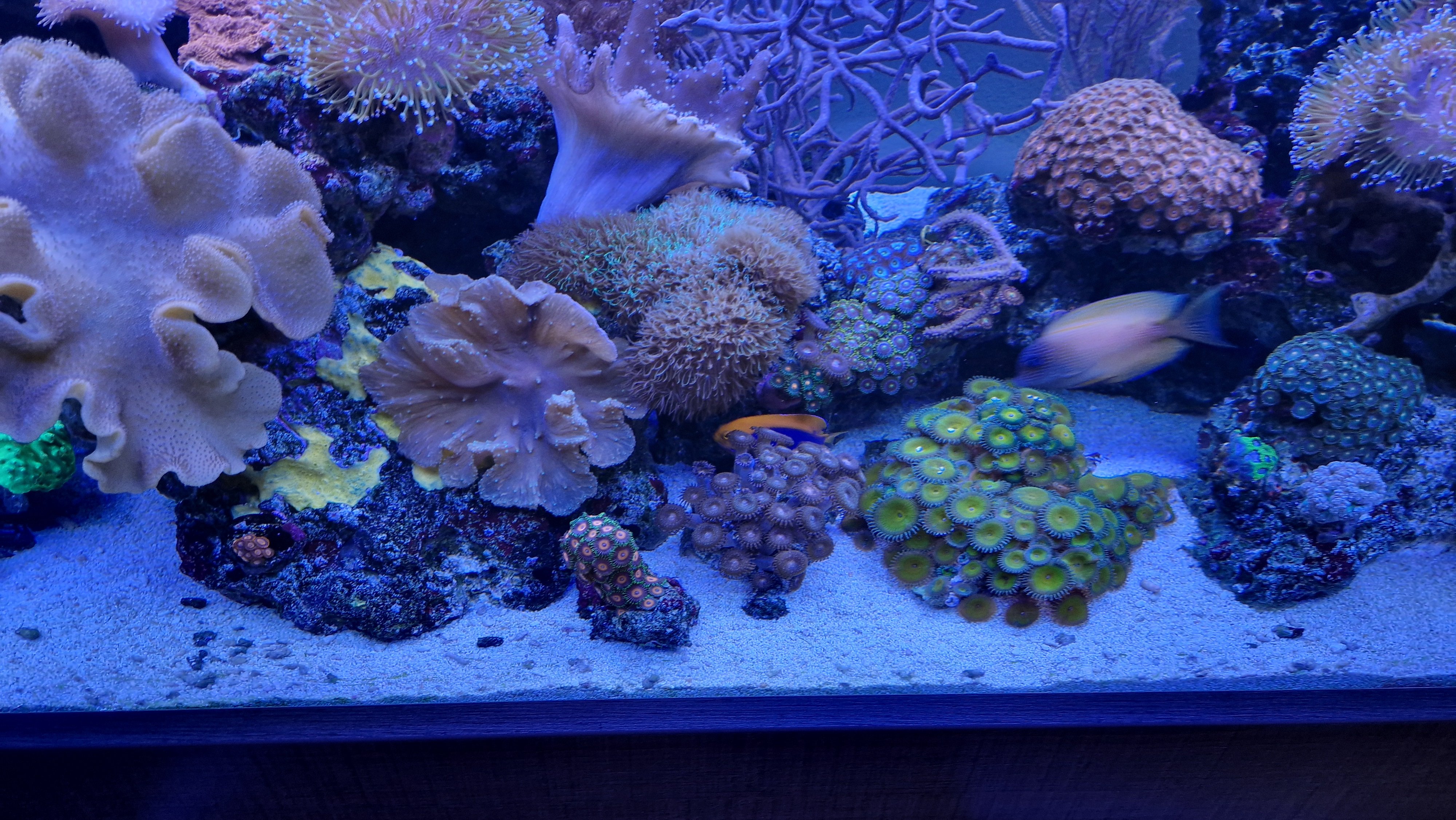 20260414_201248.jpg