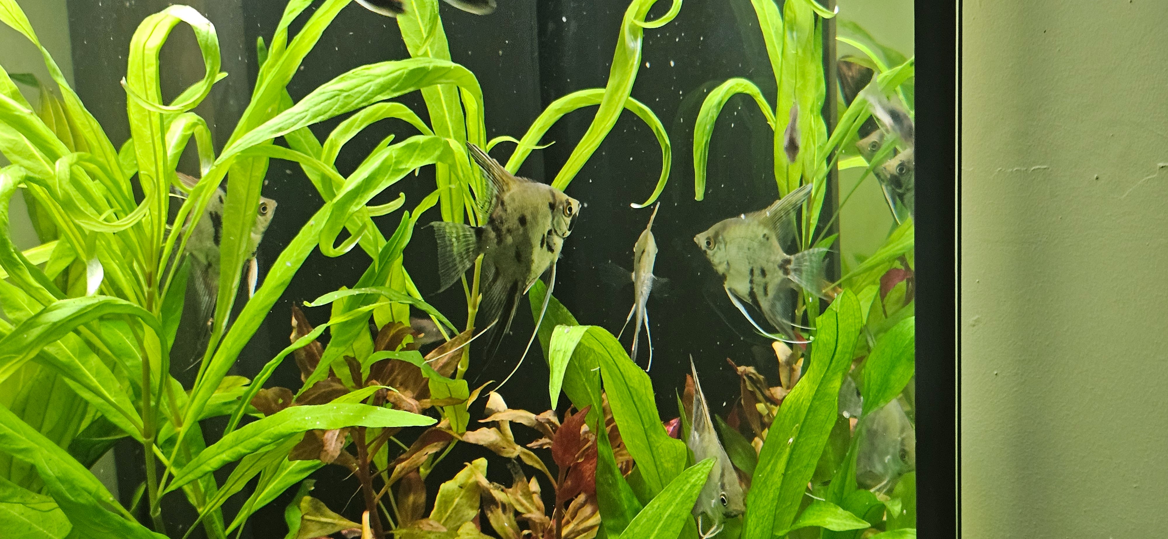 20260723_214316.jpg